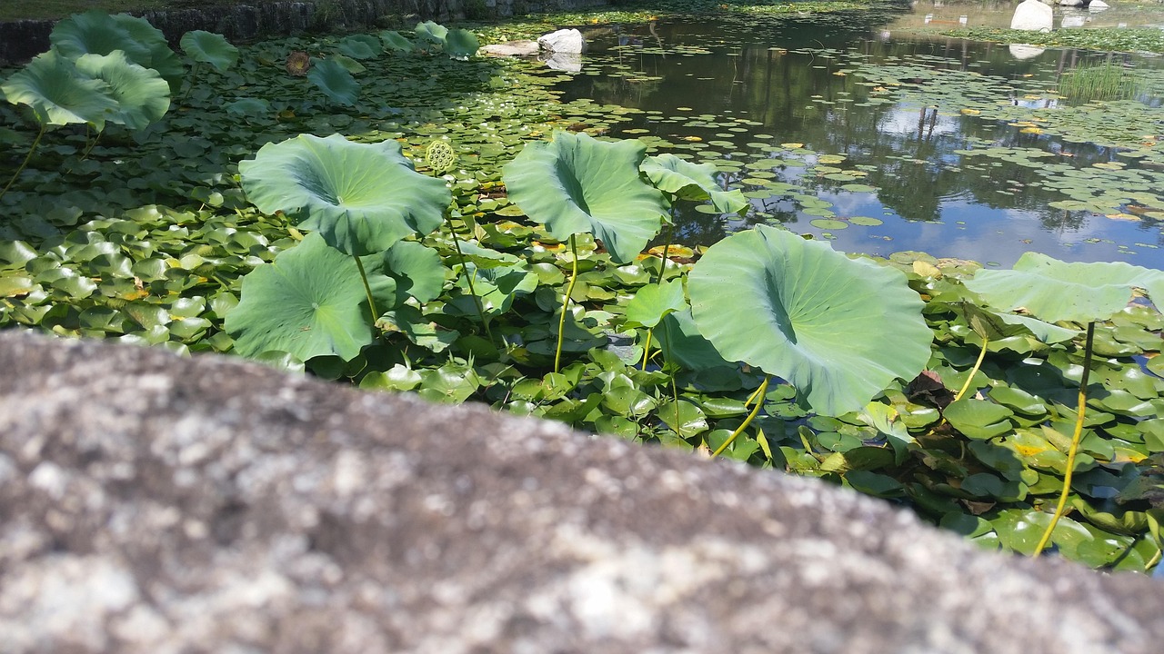 영주 이혼상담